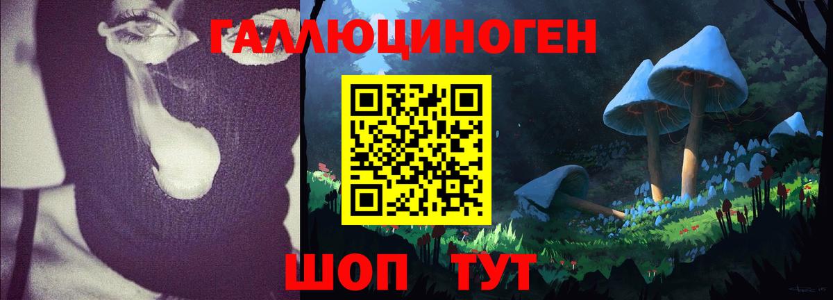 даркнет сайт  Галлюциногенные грибы Cubensis  Аксай  Вход с VPN  Псилоцибиновые грибы мухоморы 